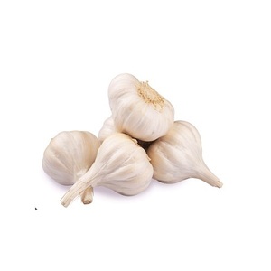 Ajo Blanco Fresco Entero Natural Sin Piel de Origen Tailandés 10 kg, Ajo Blanco Normal y Ajo Blanco Puro - Product Image 2