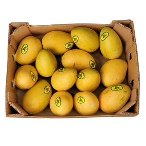 Beli Honey <span class=keywords><strong>Mango</strong></span> online-beli mangga segar Online