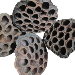 Vainas de loto secas para decoración de acuario Fish Hiding Place Home Decor - Product Image 1