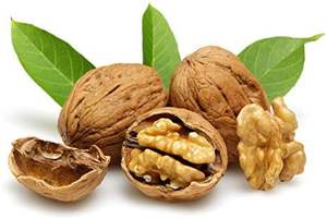 High Quality Organic Dried <b>Walnuts</b> in Bulk Raw Processing Kernel Snacks Food Grade Packaged in Bags without <b>Shell</b> - Product Image 5