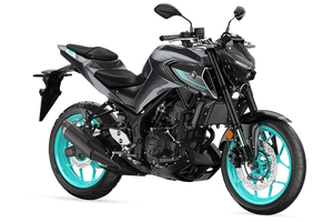 Vehículo de Dos Ruedas YAMAHA MT - Product Image 2