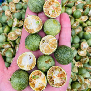 Tranches de calamondin vert séché de qualité supérieure, ingrédient de tisane naturelle du Vietnam pour le produit Detox Kumquat - Product Image 6