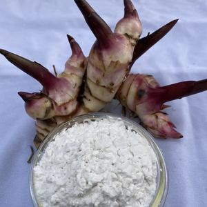 Farine de marante séchée vietnamienne délicieuse, naturelle, sans gluten, naturelle, de haute qualité, parfaite pour la pâtisserie, cuisine asiatique - Product Image 1