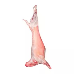 เท้าหน้าหมูแช่แข็งแช่แข็งขาหลังบรรจุ100% สดแช่แข็ง - Product Image 6