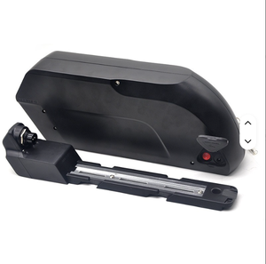 Batteria agli ioni di litio LiFePO4 universale da 48V 20Ah per E-Bike/Scooter Elettrico con caricabatterie BMS, 1000 cicli - Product Image 2