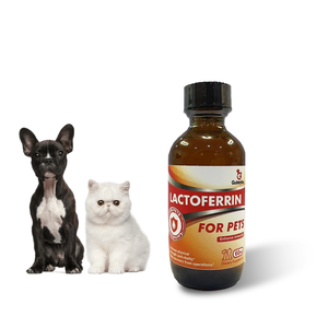 OEM ODM <span class=keywords><strong>lattoferrina</strong></span> gocce ridurre l'infiammazione per pet <span class=keywords><strong>lattoferrina</strong></span> controllo gatto starnuti prevenzione del raffreddore per cani - Product Image 3