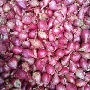 Bulk Buyers' Bliss and Retail Ready con cebolla roja fresca de Vietnam para importador y mayorista - Product Image 2