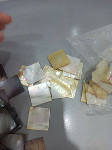 Nácar Natural de Alta Calidad de Vietnam para la Fabricación de Joyería y Artesanía Decorativa - Product Image 6