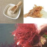 Harga pabrik Carrageenan halus/karagenan Semi halus Premium menebal grosir kemurnian tinggi permen karet kualitas PWS alami