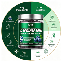 Gummies de créatine SYC BIO, créatine monohydrate pure, 60 unités, soutien antioxydant, complément alimentaire, prix d'usine pour marque privée