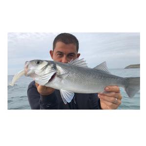 New product selling Frozen <b>fish</b> Sea <b>fish</b> frozen seabass price - Product Image 6