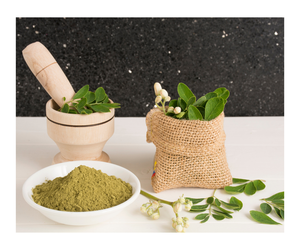 The Best Quality Bulk Moringa Leaves Extract Moringa Leaf Powder - Product Image 5