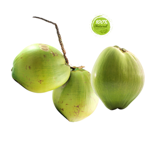 มะพร้าวบริสุทธิ์จากเวียดนามแบบสดหวานและเป็นธรรมชาติพร้อมเปลือก - Product Image 3