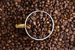 Green <b>Coffee</b> <b>Beans</b> Whole <b>Bean</b> Unroasted Natural Processing Type Common Variety Bulk Supply for Export and Retail - Product Image 2
