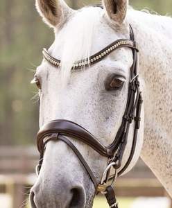 BRIDE CHEVAL OR ROSE - Product Image 2