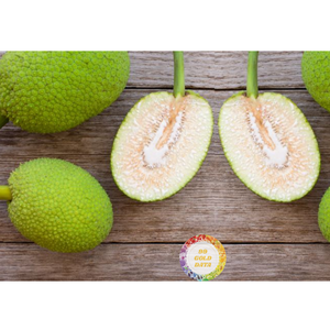 SUMINISTRO AL POR MAYOR DE FRUTAS DE PAN CONGELADAS IQF DE VIETNAM PARA COCINAR FÁBRICA DE ALIMENTOS Y USO DE CATERING - Product Image 4