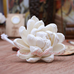 Nouvelles Arrivées en Stock - Fleurs Artificielles en Bois de Sola Écologiques - Mokka de Qualité Exceptionnelle pour la Décoration Intérieure - Tailles 6, 8, 10 cm - Product Image 1