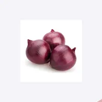 Cipolla indiana della migliore qualità dell'esportatore all'ingrosso a prezzo all'ingrosso