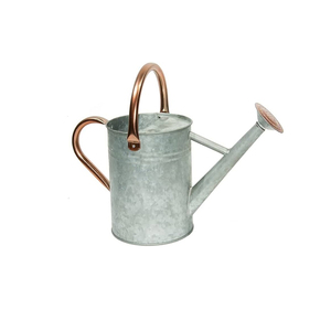 Petits arrosoirs modernes en métal Fabricant et exportateur d'arrosoir noir et blanc personnalisés en gros - Product Image 4