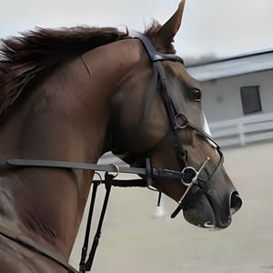 Produit chaud Mèche équestre pleine joue Mèche de poids moyen mèches de cheval en acier inoxydable au pakistan - Product Image 6