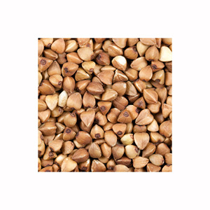 Trigo Sarraceno a Granel, Precio de Mayoreo, Granos de Alta Calidad, Servicio de Entrega Rápida - Product Image 3