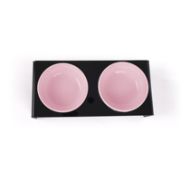 Station d'alimentation pour animaux de compagnie double bol, écologique, portable, étanche, grande capacité, 2 plats en céramique, support moderne transparent pour croquettes de chat et de chien