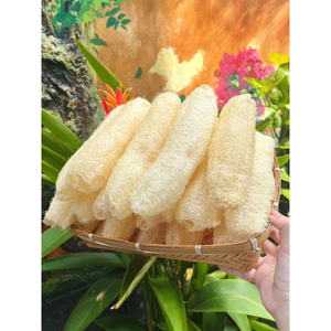 Esponja Vegetal Vietnamita Auténtica de la Granja al Spa, Libre de Químicos y Biodegradable, Ms.May - Product Image 1