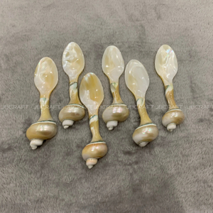 Artesanía Madre de Perla Cuchara Concha Caviar Cuchara, Caviar Cuchara Única Regalo Significativo Hecho De Vietnam Fabricación - Product Image 1