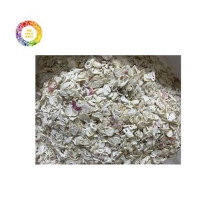 Cebolla roja deshidratada de alta pureza de Vietnam, suministro a granel para empresas de especias y alimentos - Product Image 2