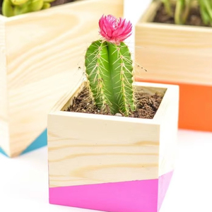 Maceta de madera de pueblo, maceta Wishing Well, decoración de jardín de patio trasero, macetas creativas de madera, macetas de flores de corteza de abeto, jardín - Product Image 1