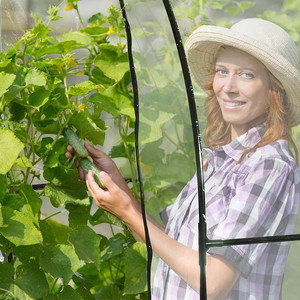 Túnel de Jardín Moderno de 2x1m, Túnel para Vegetales de 2m2, Estructura de Acero, Madera, PVC y Policarbonato para Aplicaciones en el Hogar y el Patio Trasero en Invierno - Product Image 6