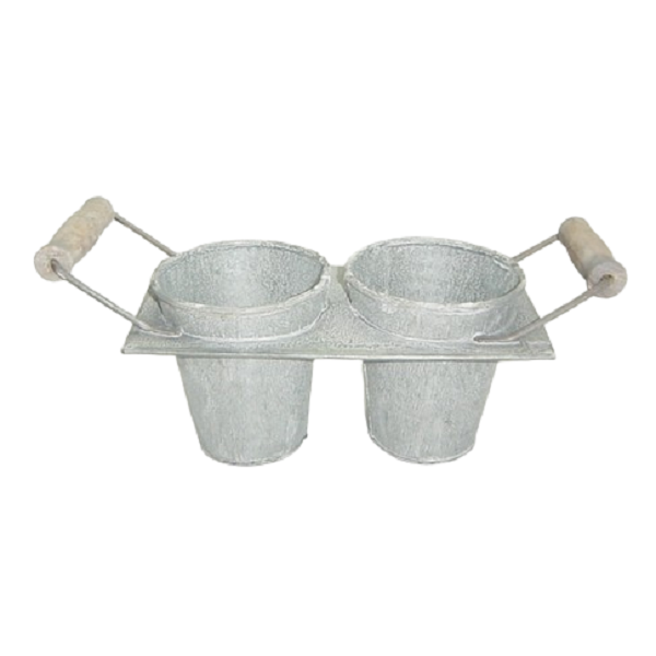 แสดงภาพ