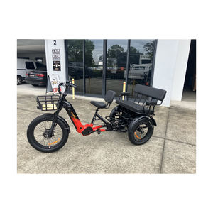 Tricycle de qualité supérieure pour passagers, prêt pour l'approvisionnement en gros et les commandes de gros volumes - Product Image 4