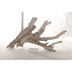 2025 Producto superior Accesorios de acuario de plástico de madera flotante natural y decoración del hogar de Vietnam para mayoristas - Product Image 4