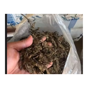 LEADING EXPORT PRODUCT <b>GRASS</b> JELLY FROM VIETNAMESE SUPPLIER - Product Image 4