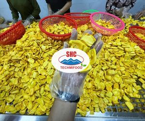 ชิปขนุนกรอบแบบสุญญากาศสำหรับทอดผลไม้ขนมขบเคี้ยวฉลากสะอาดสำหรับผู้นำเข้าจำนวนมาก - Product Image 1