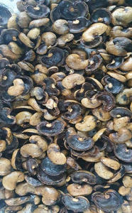 TOP VENTES COQUES DE NOIX DE CAJOU EN VRAC FOURNITURE EN GROS PRODUIT NATUREL DE QUALITÉ SUPÉRIEURE POUR L'EXTRACTION D'HUILE HOT DEAL PROMOTION D'EXPORTATION - Product Image 4