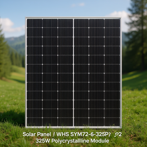 Panel Solar WHS SYM72-6-325P 325W Módulo Policristalino - Product Image 3