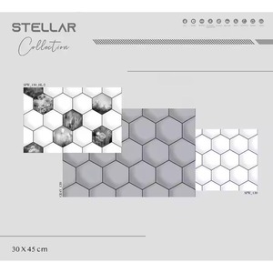 Tarifa barata 12x18 Acabado brillante Gris claro 30x45 cm Baldosas de cerámica Ghana 300x450mm para baño Baldosas de pared esmaltadas digitales - Product Image 2