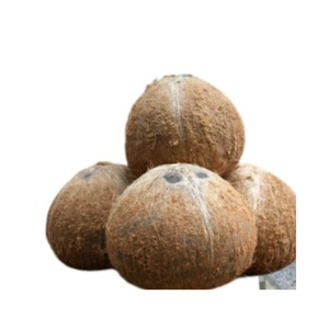 Cao Cấp Việt Nam Bán Husked Dừa Cho Xuất Khẩu Toàn Cầu Ngọt Ngào Và Ngon Ngọt Lâu Dài Tươi - Product Image 5
