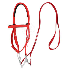 Customization Logo Low Price Horse Riding Bridles Solid Material <b>Top</b> Selling Horse Riding Bridles - Product Image 1