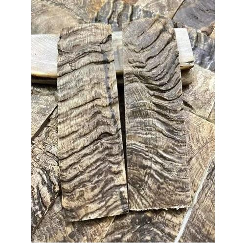 เช่นเดียวกับภาพ