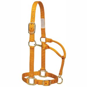 Nouveau 2025 Halters de cheval sur mesure Halter de haute qualité pour chevaux - Product Image 4