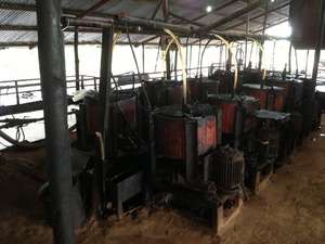 Huile de noix de cajou de haute qualité, liquide de coque de noix de cajou (CNSL), biocarburants efficaces, bioénergie avancée, huile de noix, huile végétale pour la cuisine - Product Image 6