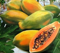 Papaye rouge biologique fraîche (Pawpaw) au goût naturellement sucré 3 kg en vente à prix avantageux