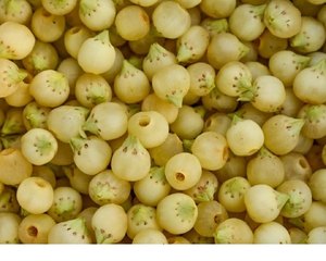 Aceite Mahua de calidad superior para uso cosmético disponible en la mejor calidad del exportador y fabricante indio - Product Image 2