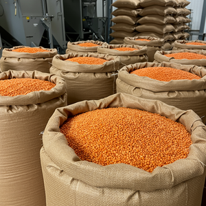 Dried Red <b>Lentils</b> Selected and Cleaned for Export with Minimal Admixture and Reliable Supply Chain - Product Image 3