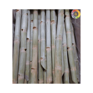 Palitos pelados de caña de azúcar congelados recién cosechados, completamente maduros, listos para descongelar y hacer jugo, jugo fresco de Vietnam - Product Image 1