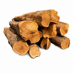 Bûches de teck d'Afrique de l'Ouest en vrac |   Bûches rondes de Tectona Grandis de qualité supérieure pour les importateurs de bois et les scieries - Product Image 6
