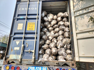 คุณภาพสูงกันน้ำสังเคราะห์ต้นปาล์มสานจากฟางข้าวสาลีเทียมหลังคามุงจากศาลาหลังคากระท่อม balinese - Product Image 6